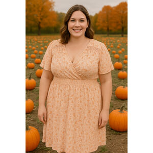 Luxology Wrap Top Popover Flutter Sleeve Knee Length Dress 2X Fall Autumn Casual